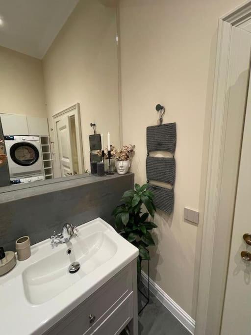 Lucrib Apartman Kolozsvár Kültér fotó